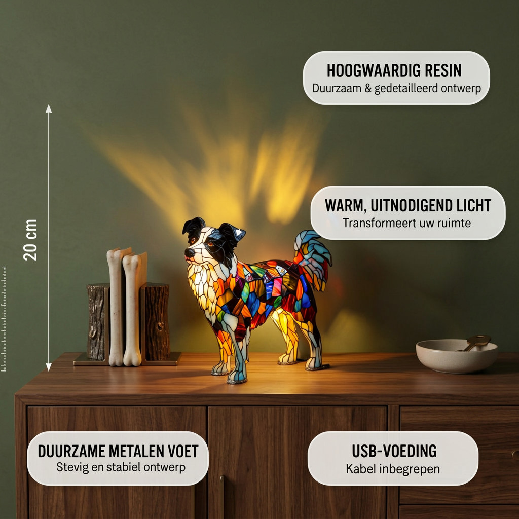 Border Collie dierenlamp met productkenmerken
